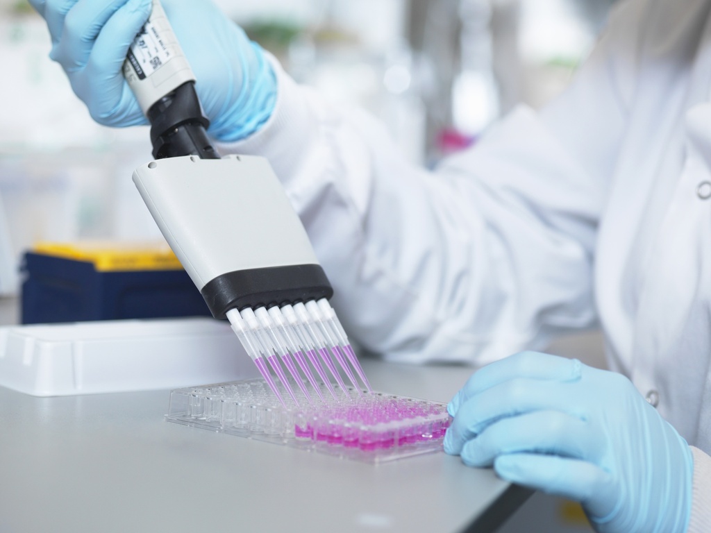 Bovine Lactoferrin ELISA Kit   