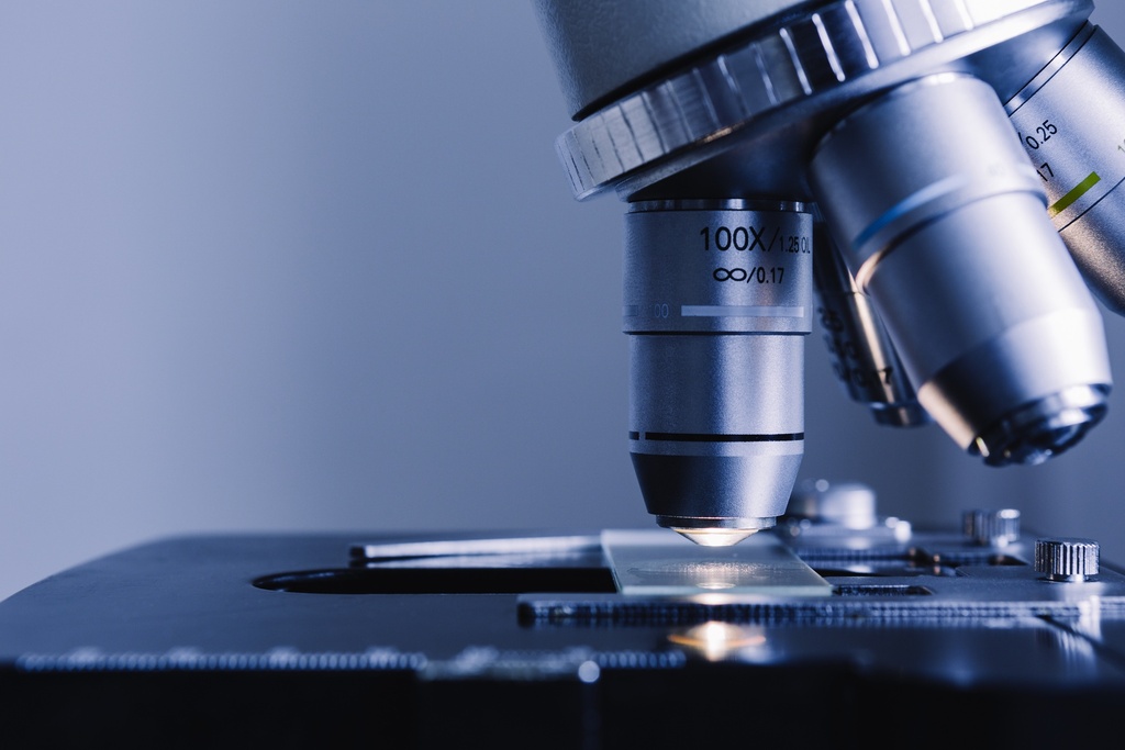 Human Blood cDNA   