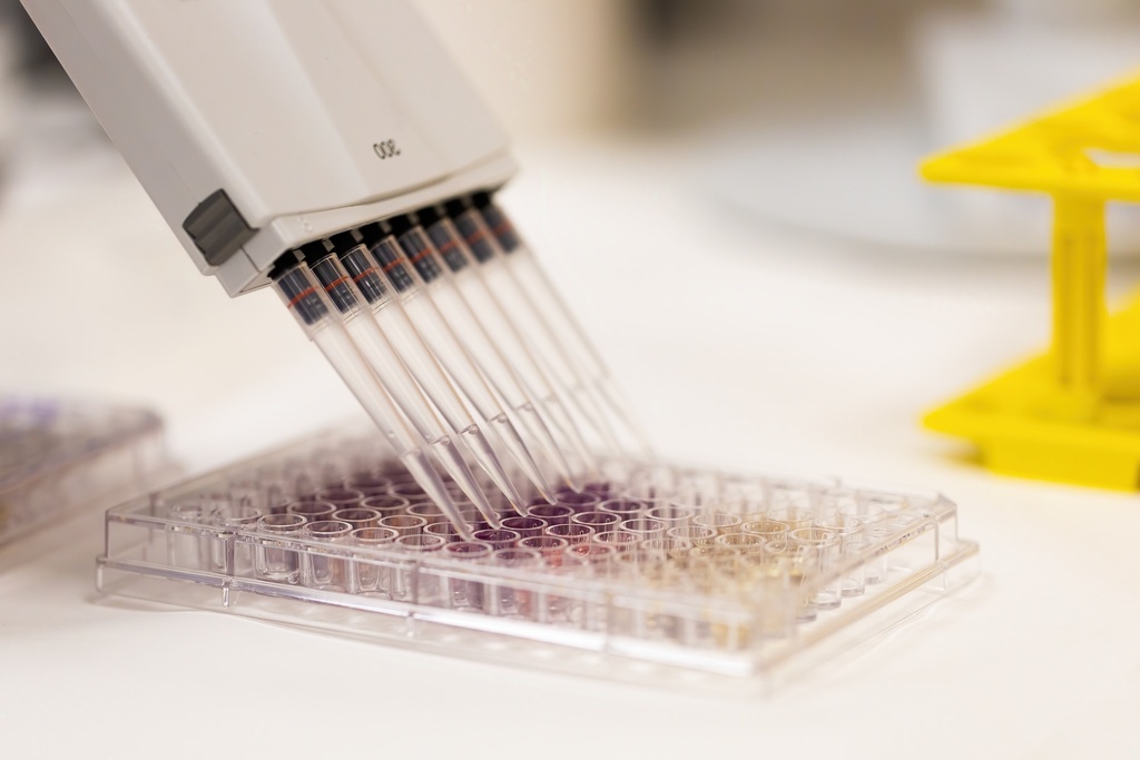 96-Well Skirted PCR Plate, Natural 25 plates