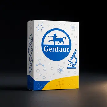 [FM-GVS-DQ-48] Genvinset® HLA Celiac